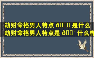 劫财命格男人特点 🐝 是什么（劫财命格男人特点是 🌴 什么样的）